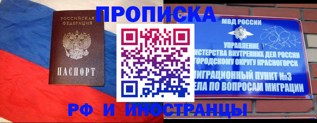временная регистрация для всех в Стародубе